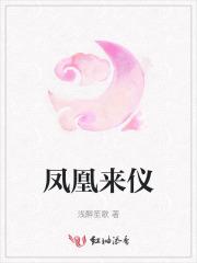 凤凰来仪尚书选读2拼音