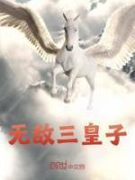 叶君楚倾城穿越成三皇子最新章节