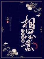 浮生难寄相思泪免费全文