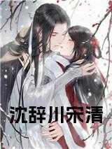 宋辞沈轻夜知乎