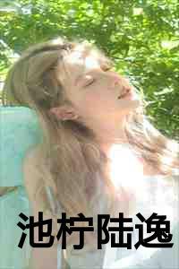 陆逸的最新章节2785章