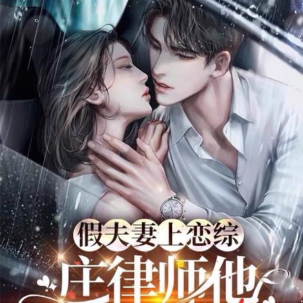 假夫妻的电视剧