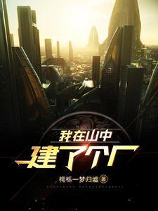 我在山里搞基建