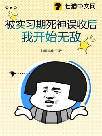 炼丹师在星际lu猫日常