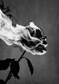 宝山3路4个站点新增候车亭