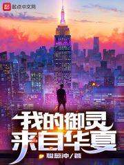 折月亮全文免费阅读完整版