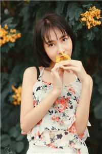 星际团宠治育手册完结了吗