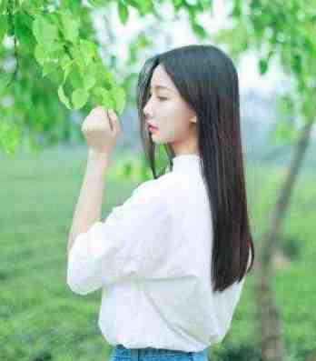 季汉彰武太虐了