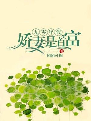 九零年代,娇妻是首富