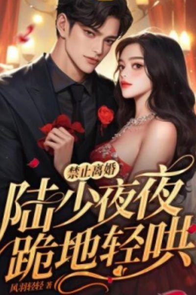 禁止离婚!陆少夜夜跪地轻哄