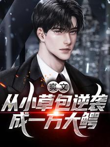 爽文!从小草包逆袭成一方大鳄