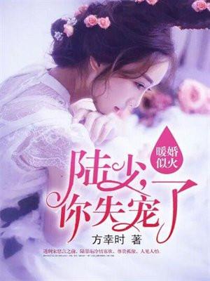 暖婚似火:陆少,你失宠了