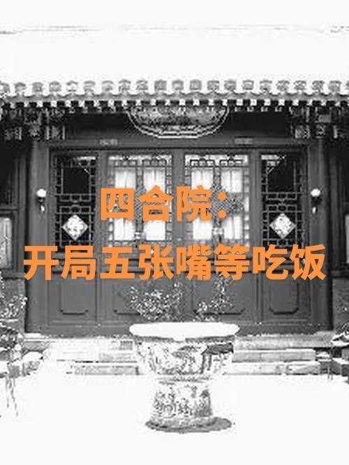 四合院:开局五张嘴等吃饭