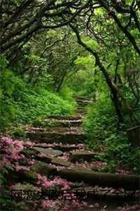 网恋失败后我成了全网白月光：结局+番外,祝南音贺祁临