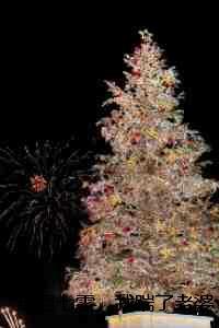 重回七零，我踹了老婆一心高考/重回七零,我踹了军花一心高考：全文+后续