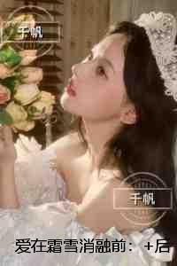 爱在霜雪消融前：完结精选作品