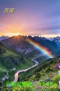 云烟误晚舟：结局+番外宝藏