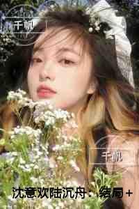 沈意欢陆沉舟优质全章