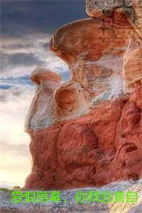 爱恨落幕，你我悲喜自渡：全文完结