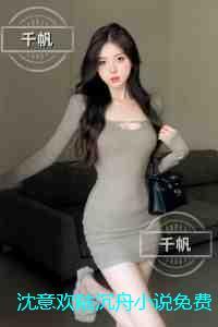 沈意欢陆沉舟全集小说推荐