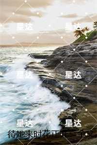 待她来时花正开：,苏晚怡顾怀川免费