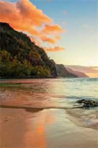 繁花盛意难现已上架