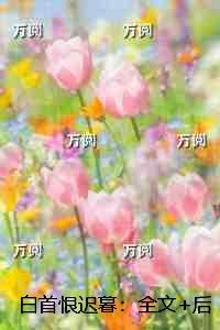 白首恨迟暮：番外