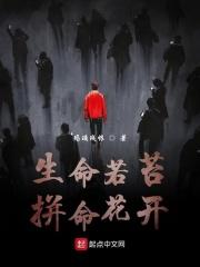 出狱后,疯批哥哥跪求我回头