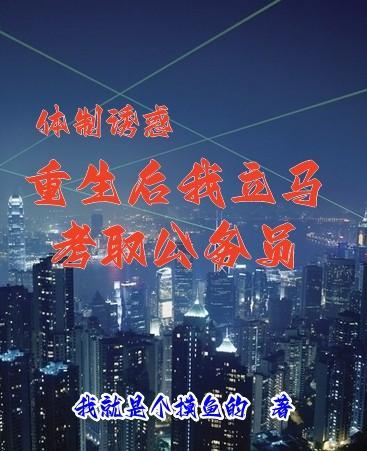 清穿锦鲤十四福晋