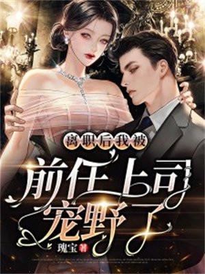 四合院:我成了娄家女婿