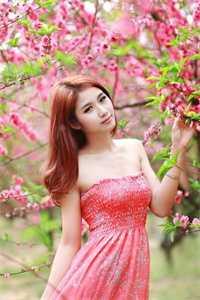 人在综武,无敌的我嫁入移花宫