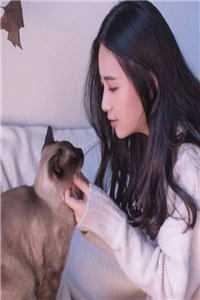 四合院:从签到四级大厨开始