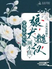 和落跑新娘恋爱了