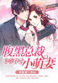 非婚不可:腹黑总裁小萌妻