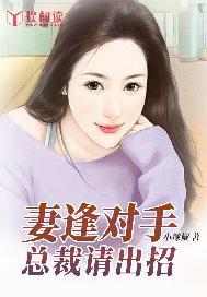 妻逢对手:总裁请出招